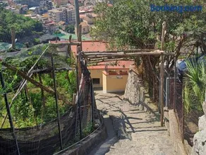 Il nido dei nonni - Image 4