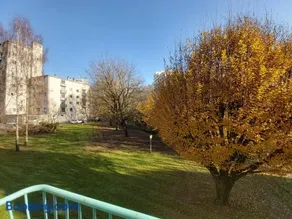 Terrasse, vue sur jardin arboré et place de parking - Image 3