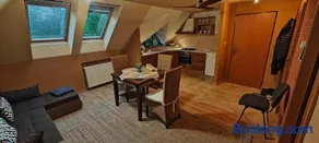Parrot district apartments - Image 3