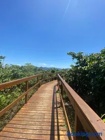 Casa na Daniela - vista para o mar a 100m da praia - Image 2