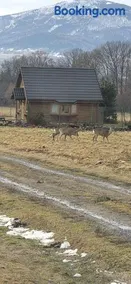 Domek na Kamieńcu - Image 1