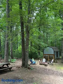Peaceful, cozy cabin in the woods - Image 4