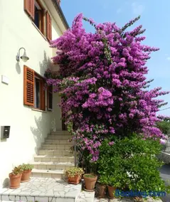 Mata Apartments - Image 2
