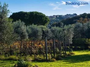 Tenuta Merlò - Image 3
