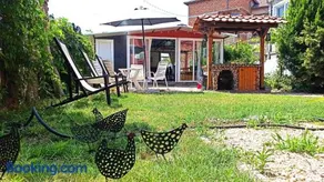 Guest House Sunflowers - Image 3
