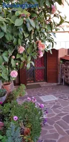 B&B Vista su Roma - Image 1