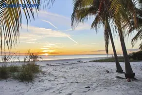 Palm Harbor #202E by Sun Palace Vacations - Image 1