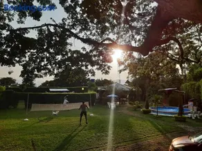Finca el Morichal - Image 4