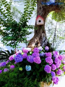 Apartmani Steni - Image 3