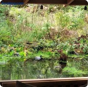 Granite Falls Tiny House off Mtn Loop, EV, AC, Grill and Pond - Image 5
