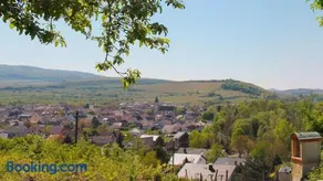 Villa Bonita del Kaiserstuhl - Image 2
