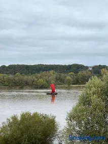 La ligérienne - Vue sur la Loire - Image 1