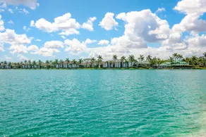 Tucker at Palm Trace Landings Fort Lauderdale - Image 3