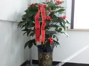 Jixi Yingli Express Hotel - Image 4