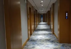 Lingyun Zhuangzhi Lingyun International Hotel - Image 3