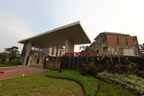 D Laris BSD - Image 1
