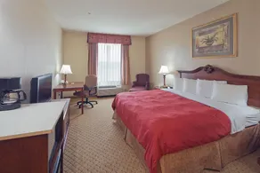 Red Roof Inn PLUS+ & Suites Birmingham - Bessemer - Image 5
