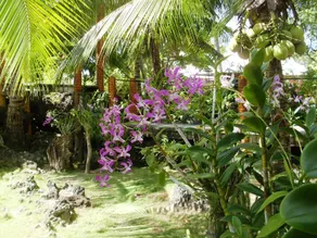 Maia's Beach Resort - Image 4