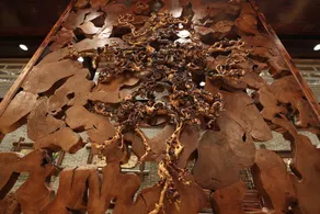 Drunken Root Resort - Image 5
