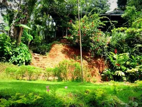 Haniffas Holiday Inn - Image 3