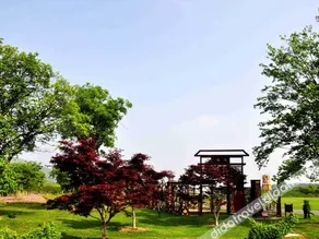 Deban Manor - Image 4