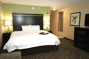 Hampton Inn & Suites Sandusky/Milan - Image 5