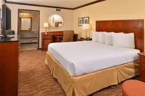 Rodeway Inn - Image 5
