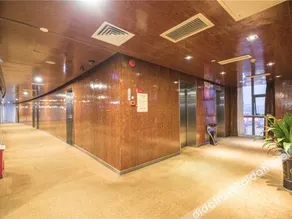 Designer - Image 3