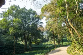 Yueyang Junshan Island Narada & Resort - Image 4