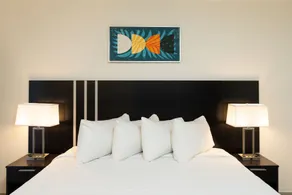 OASIS BAY SUITES, Tampa, Busch Gardens, USF - Image 4