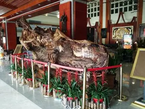 JIN DEBAO KAIYUE INTERNATIONAL HOT SPRING RESORT HOTEL - Image 3