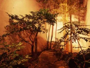 Kaiotei - Image 5