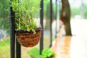 Moganshan UNDO Jingxin Homestay - Image 2