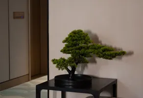 Wenxi Hotel - Image 4