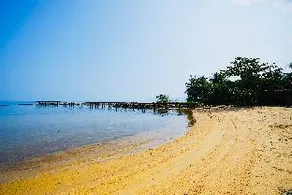 Kiwuki Beachfront Villa - Image 5