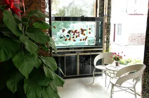 Dayu Jinlianshan Hotel - Image 4