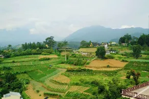 Puncak Inn Resort Hotel - Image 4