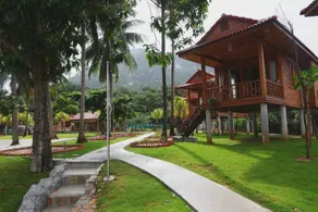 Cay Sao Phu Quoc - Image 3