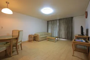 Yongpyong Resort Villa Condo - Image 2
