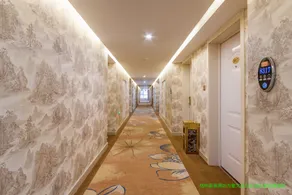 GreenTree Inn Weifang Kuiwen District North Wang Jialejia Express Hotel - Image 3