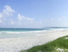 Retiro Maya Tulum - Image 5