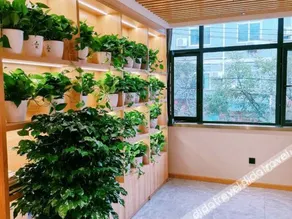 Wancheng Light Luxury Hotel - Image 5