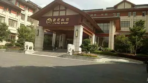Dragon Tiger Villa - Image 2