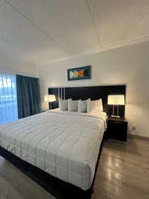 OASIS BAY SUITES, Tampa, Busch Gardens, USF - Image 5