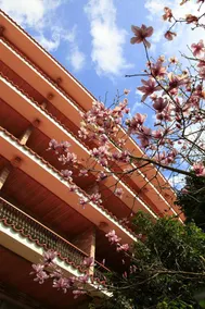 Meizhou Yannanfei Weilong Hotel - Image 4