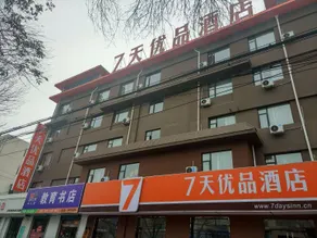 7 Days Premium Binzhou Boxing Zina International Studios Branch - Image 4