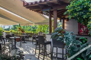 Golden Sun Kokkari - Image 4