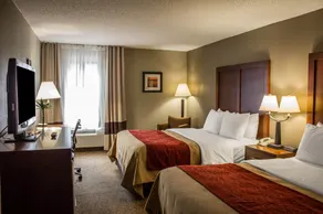 Comfort Inn Research Triangle Park - Image 3