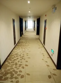 Phoenix Hotel - Image 2