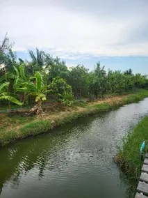 Coco and Canal - Image 5